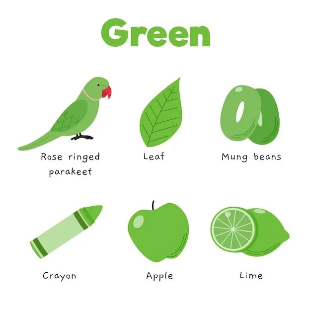 Переведи на английский зеленая. Английский зеленый цвет. Green на английском. Vocabulary векторные изображения. Английский зеленый цвет как выглядит.