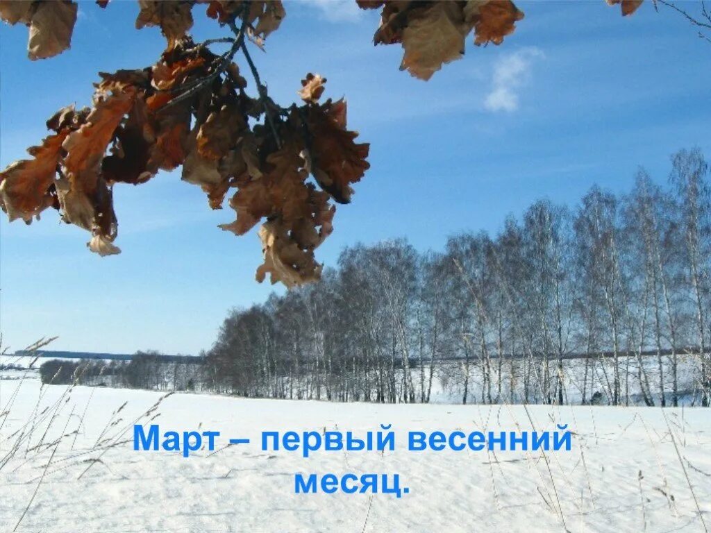 Март первый месяц весны. Весенние месяцы. Март 1 весенний месяц. Март презентация.