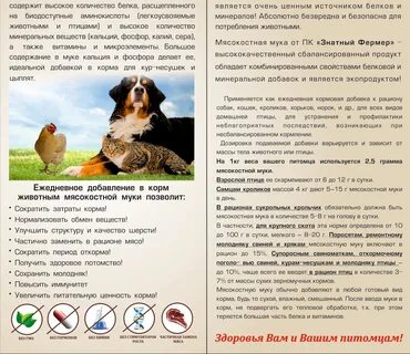 Сколько костной муки давать курам