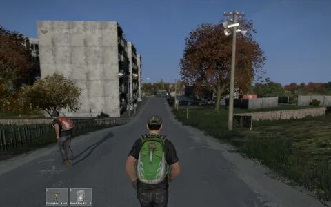 Dayz как играть на пиратке по сети