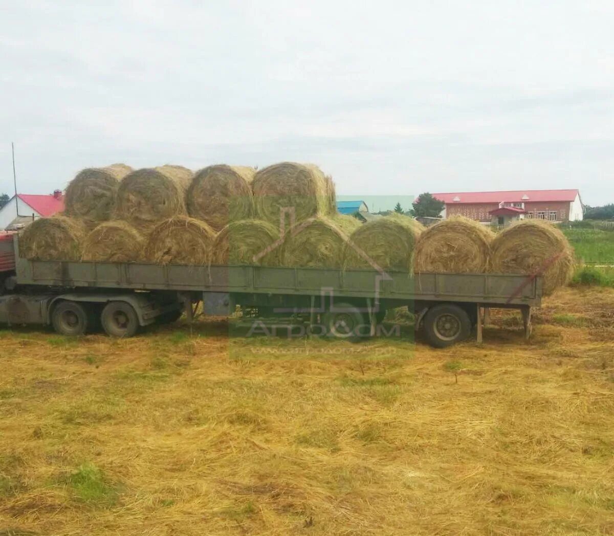 Авито объявления сено. Сено в рулонах на КАМАЗЕ. Телега для перевозки сена в рулонах. Перевозка сена в рулонах. КАМАЗ С рулонами сена.