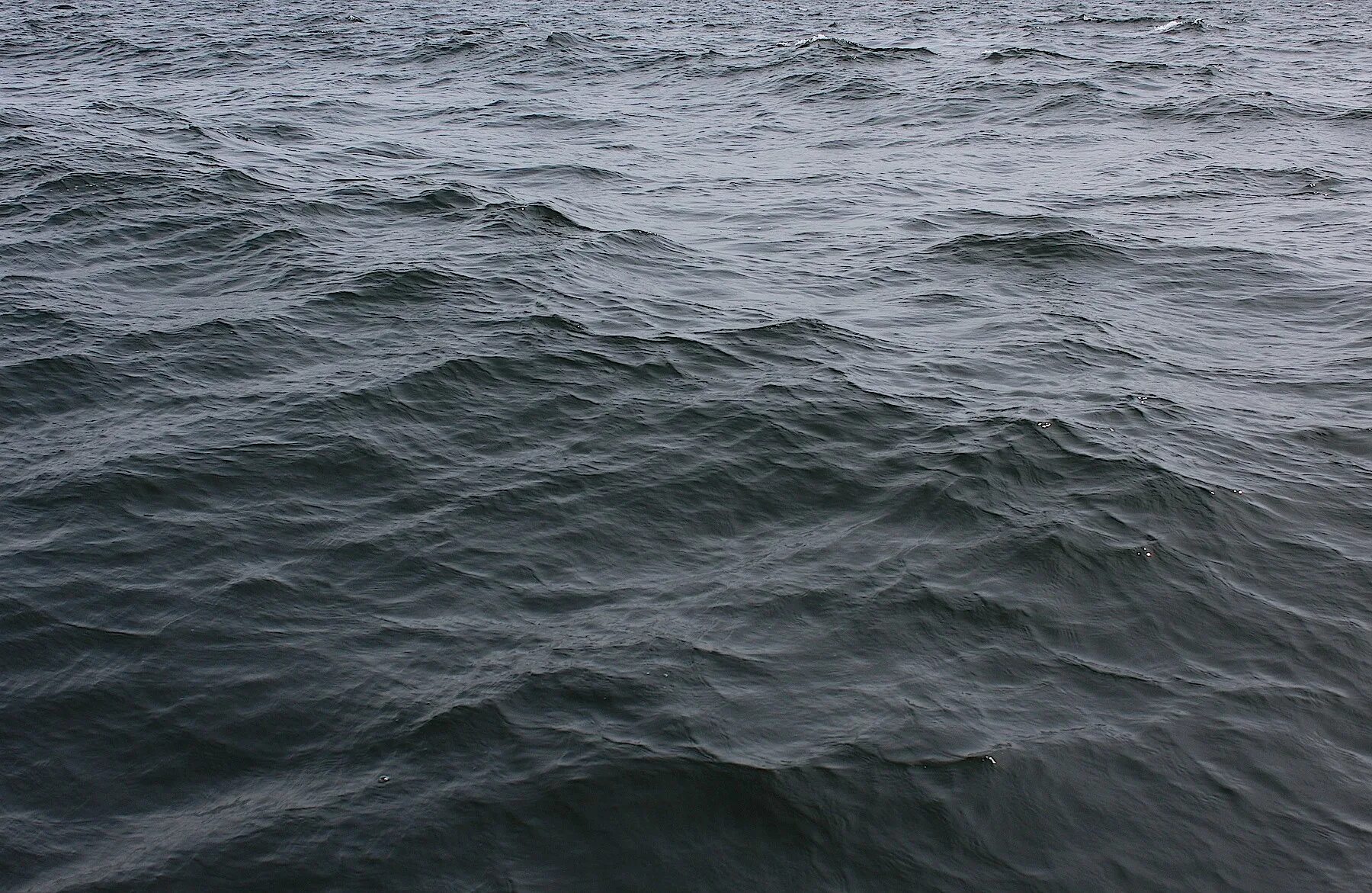 Почему вода серая. Gray Ocean. Море грело. В каком море серый цвет воды. Matt Sea Grey.