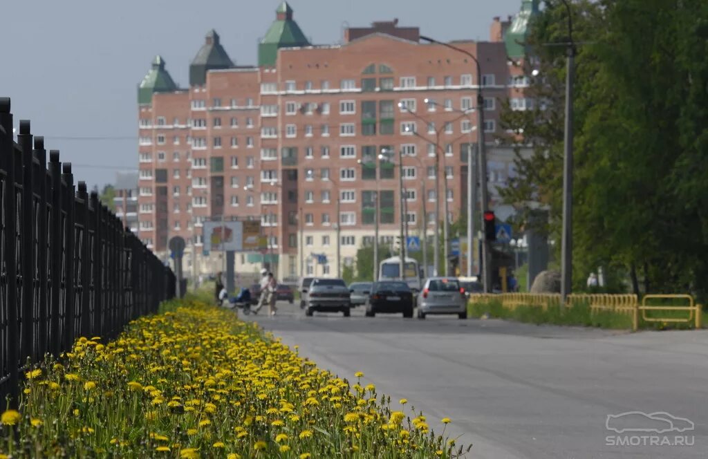 Сосновый Бор Ленинградская область. Сосновый Бор питерская область. Сосновый Бор город. Сосновый Бор под Питером город.