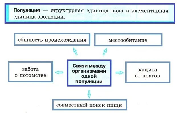 Структуры популяций и её характеристики.