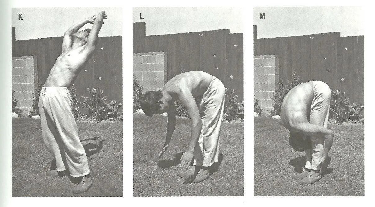 Брюс ли упражнения. Жим брюс ли. Схема тренировок брюса ли. Брюс ли изометрические тренировки. Брюс ли тренировки.