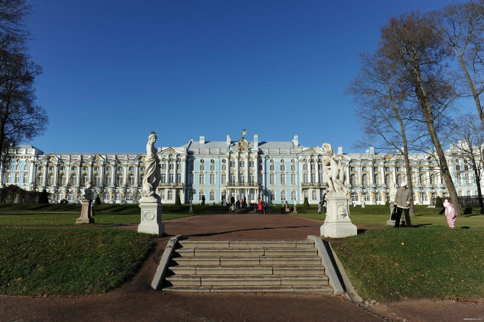 Жители города пушкина