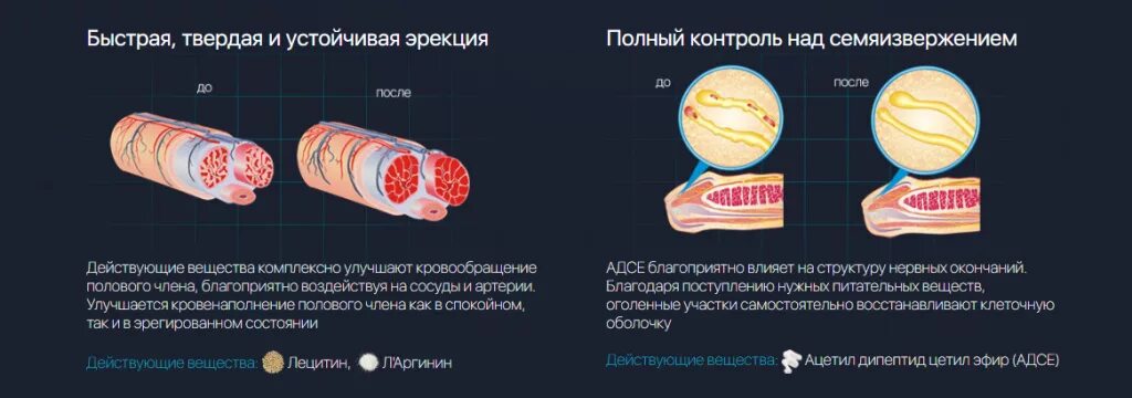 Долгий Секс Причины