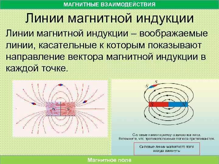 Какое направление имеет магнитная линия проходящая. Магнит линии магнитной индукции. Линиии магнитой индукции. Линии магнитная индукция. Линии магнитной индукции направлены.