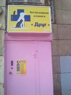 Ветеринарные клиники набережных челнов