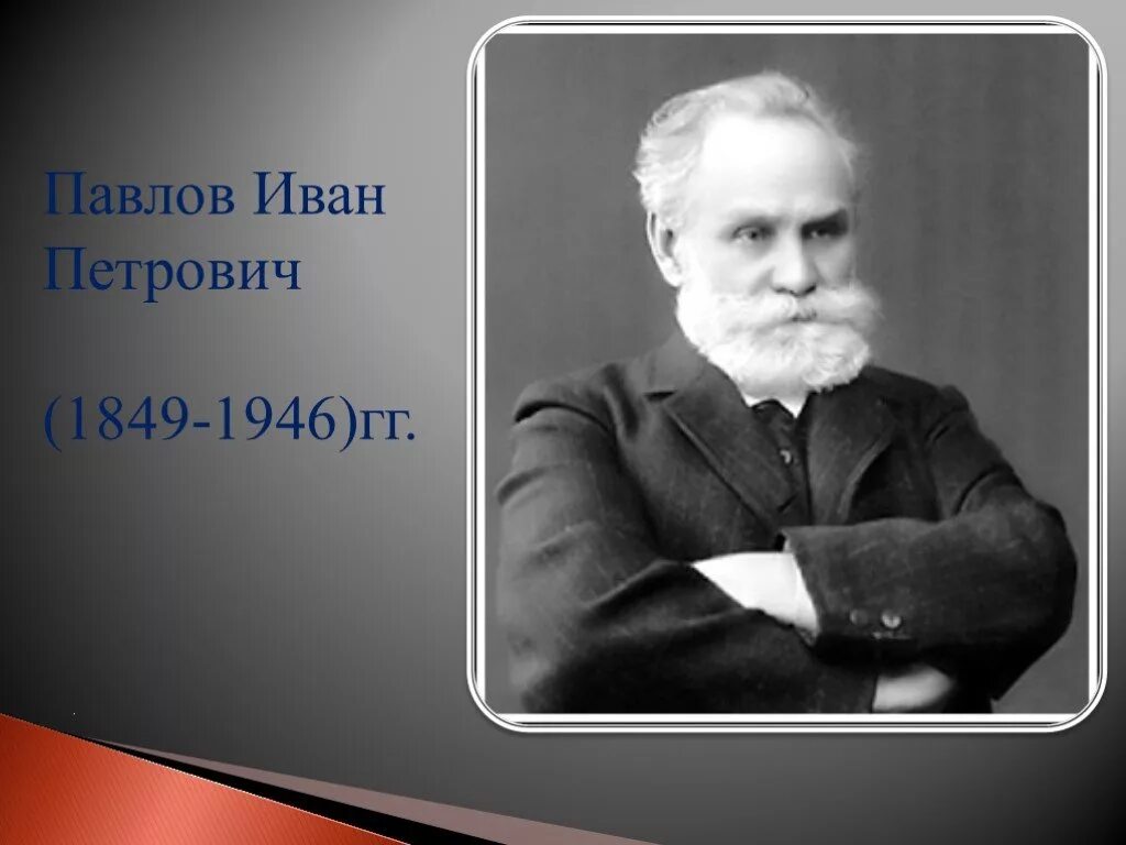 Какого года родился павлов 1