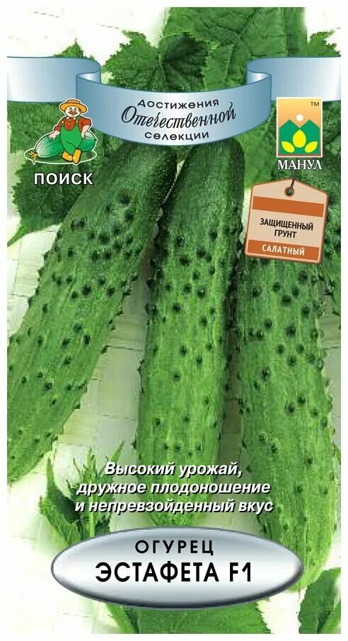 Огурцы эстафета (74 фото)