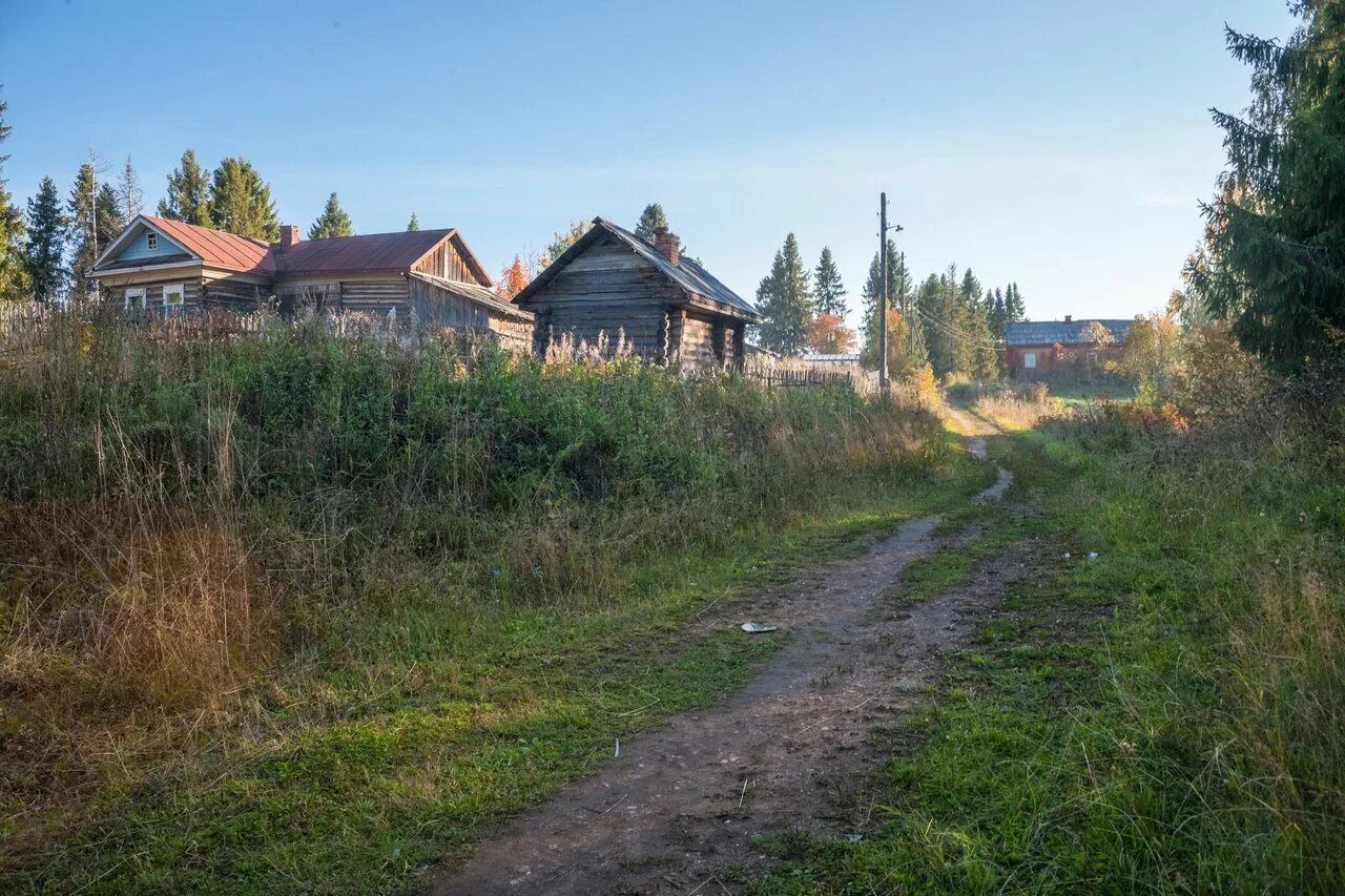 Красавино вологодская область. Деревня Красавино Вологодской области. Великий Устюг деревня Красавино. Деревня Ивашево Великоустюгский район. Петряевская роща Великоустюгский район.