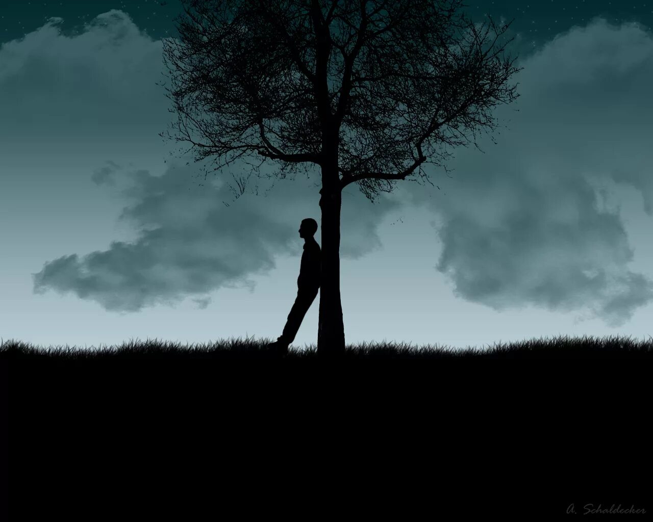 Waiting for the night