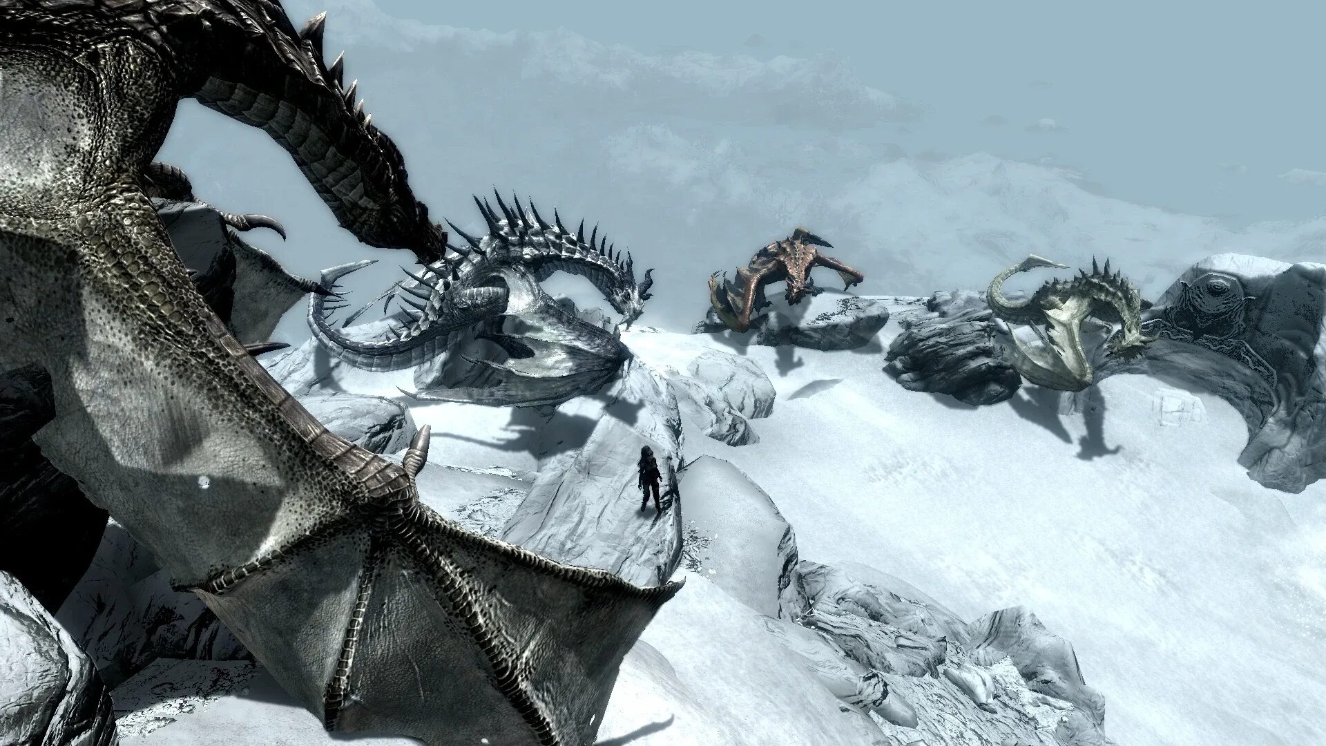 Paarthurnax retexture. Скайрим мод партурнакс. Скайрим мод партурнакс. Скайрим мод партурнакс. Skyrim дракон партурнакс ари.