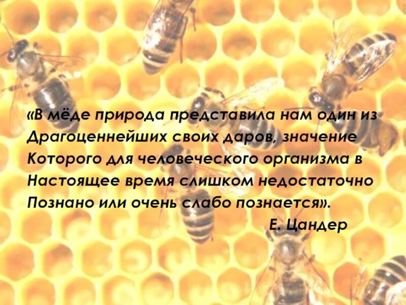 Мед поговорки пословицы. Высказывания о пчелах. Высказывания о меде и пчелах. Афоризмы про пчел. Афоризмы о пчелах и меде.