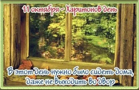 11 октября день года