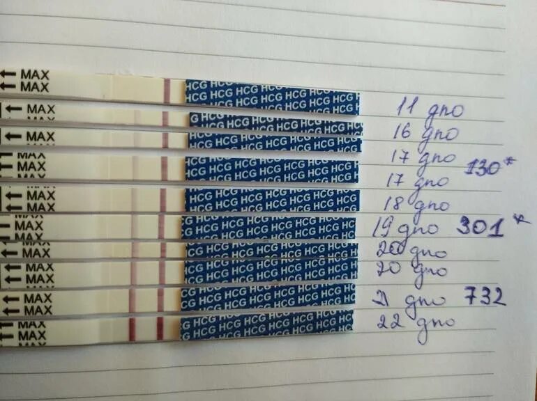 Продадут ли тест на беременность. Тест на беременность. Тесты на беременность по дням. Тест после зачатия. Тест на беременность после овуляции.