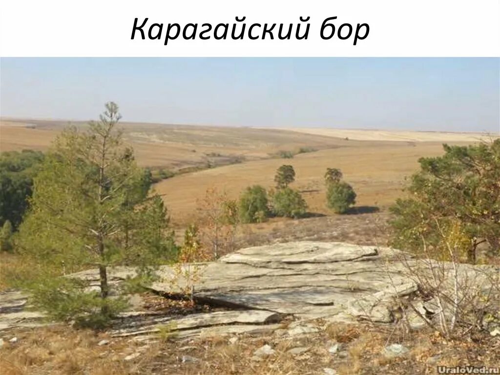 Новосимбирка школа. Оноприеновка фотографии. Большенаполовский. Погода в оноприеновка кувандыкский. Медногорск улица степная.