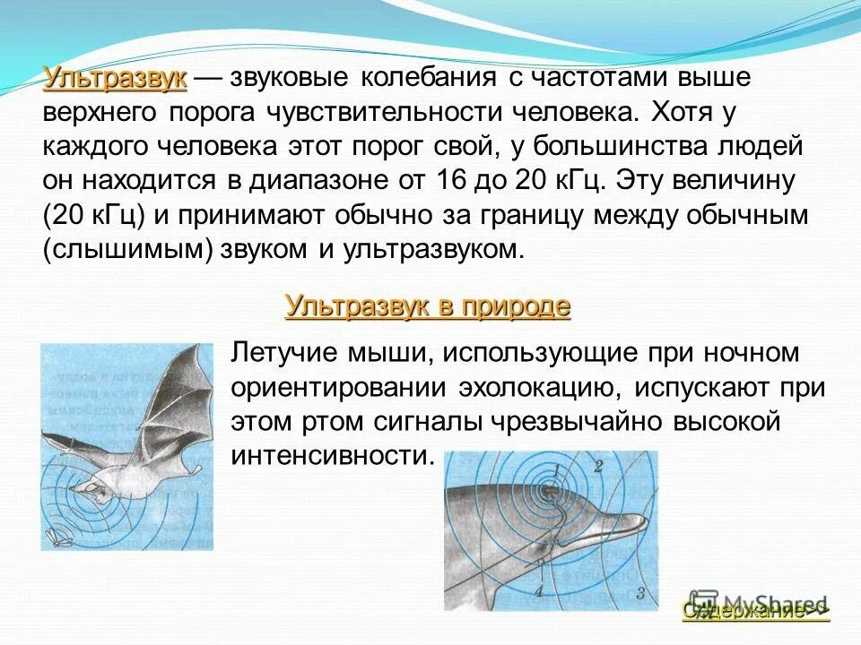 ультразвук это акустические колебания с частотой