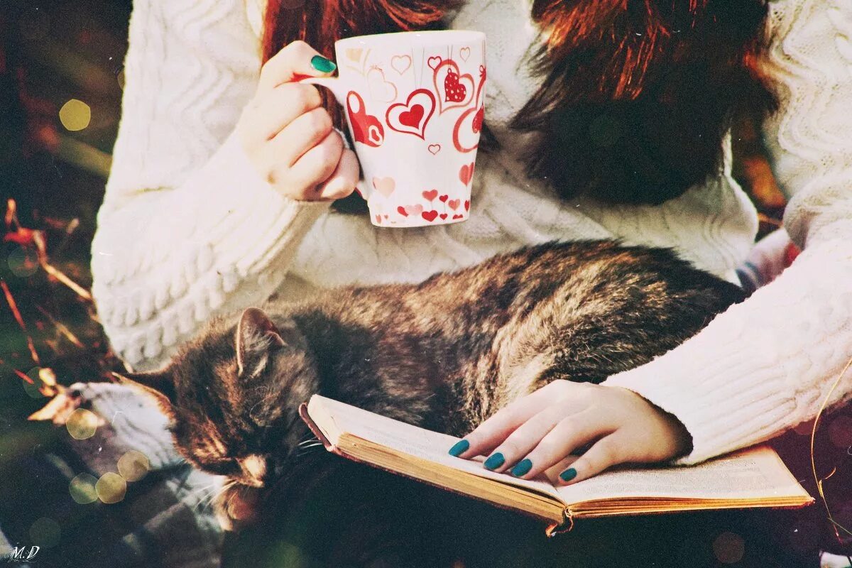 Человек кот книга. Кошка с книжкой. девушка с книжкой и котом. книги про кошек. уютная девушка с книжкой.