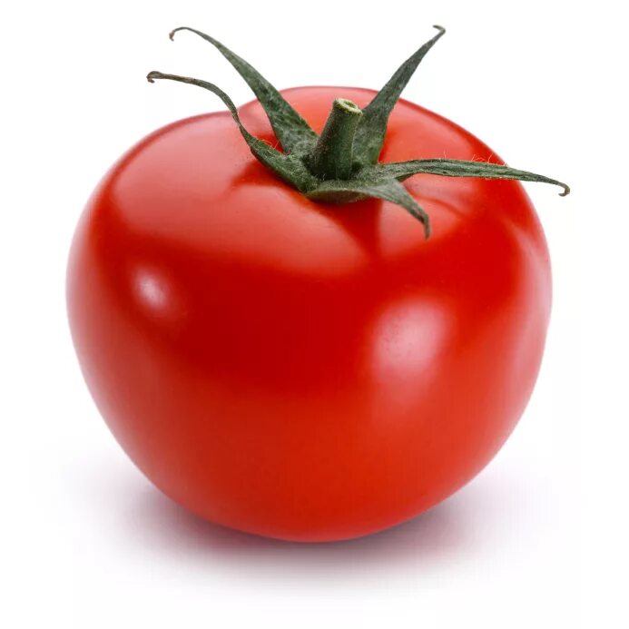 Tomato v