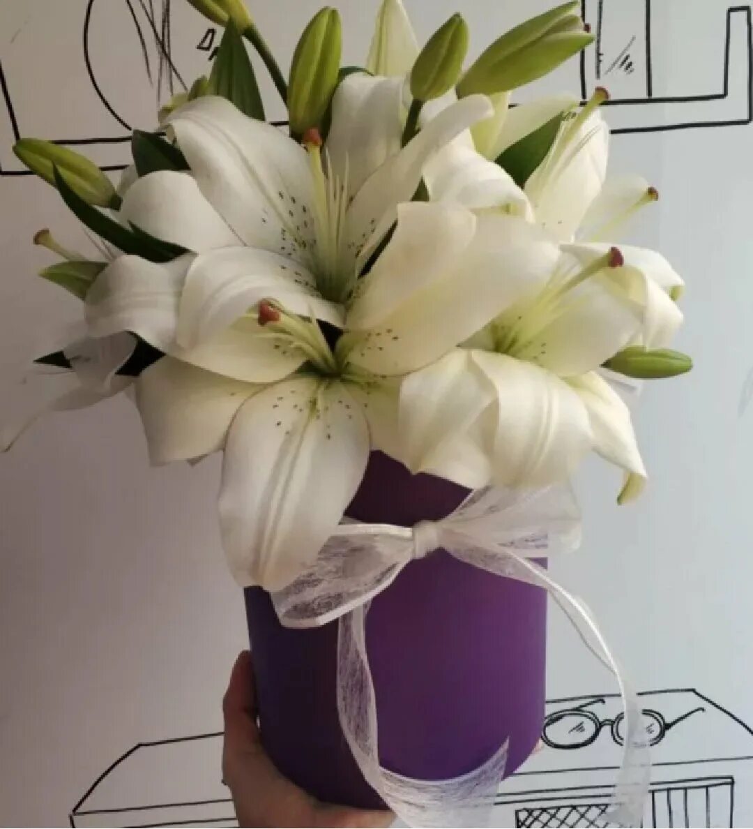 Коробочка лилии плод. Плод тюльпана. Лилии в коробке. Букет лилий в коробке. Букет из лилий в коробке.