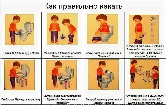 Девченка как правильно писать. Как правильно какать. как правильно писать. как правильно писать и какать. как правильно какать мальчикам.