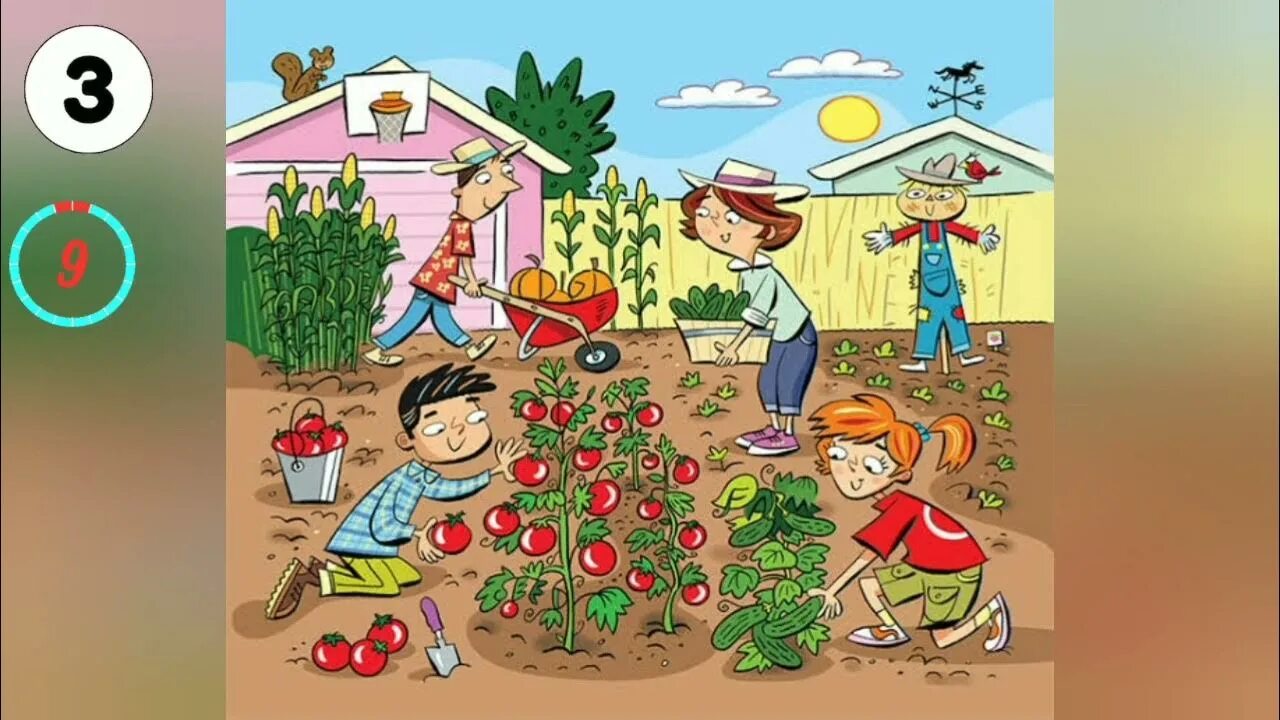 Describe the pictures using the words. Огород рисунок. Сад картинка для детей. Мой огород. Work in the Garden картинка.