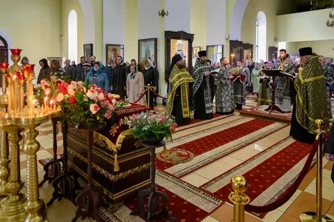 Базилик бобруйск отзывы