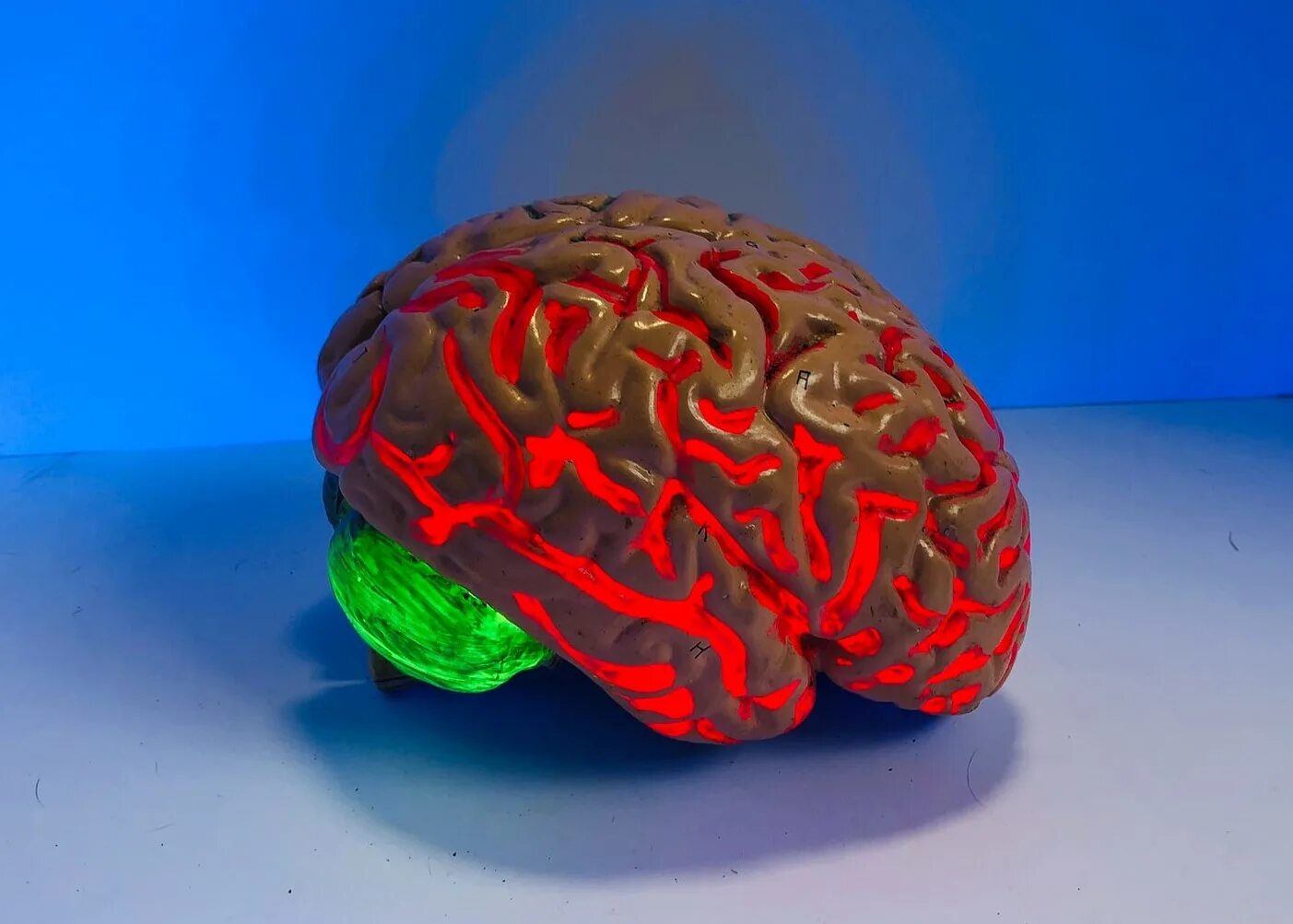 Brain 200. Визуализация мозга. Мозг бомба.