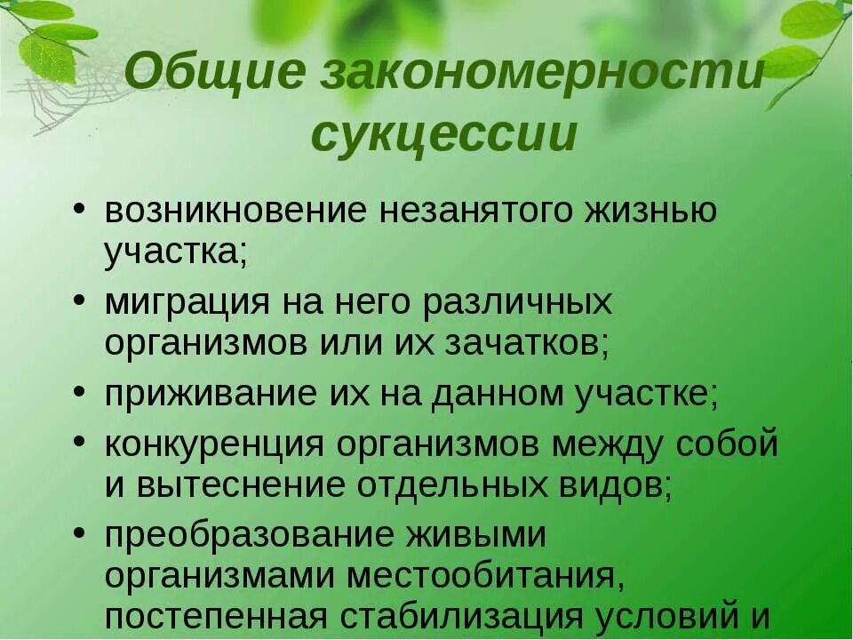 Основные закономерности сукцессии. Общие закономерности сукцессии. Расположи происходящие этапы сукцессии во времени. Расположите происходящие этапы сукцессии во времени. Тест по биологии возникновение жизни на земле