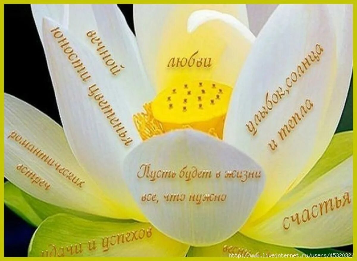 Пусть всегда будет женщина
