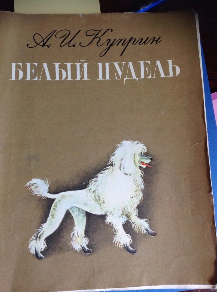 Кличка пуделя у куприна. Белый пудель Автор Куприн. Произведение Куприна белый пудель. Иллюстрация к рассказу Куприна белый пудель.