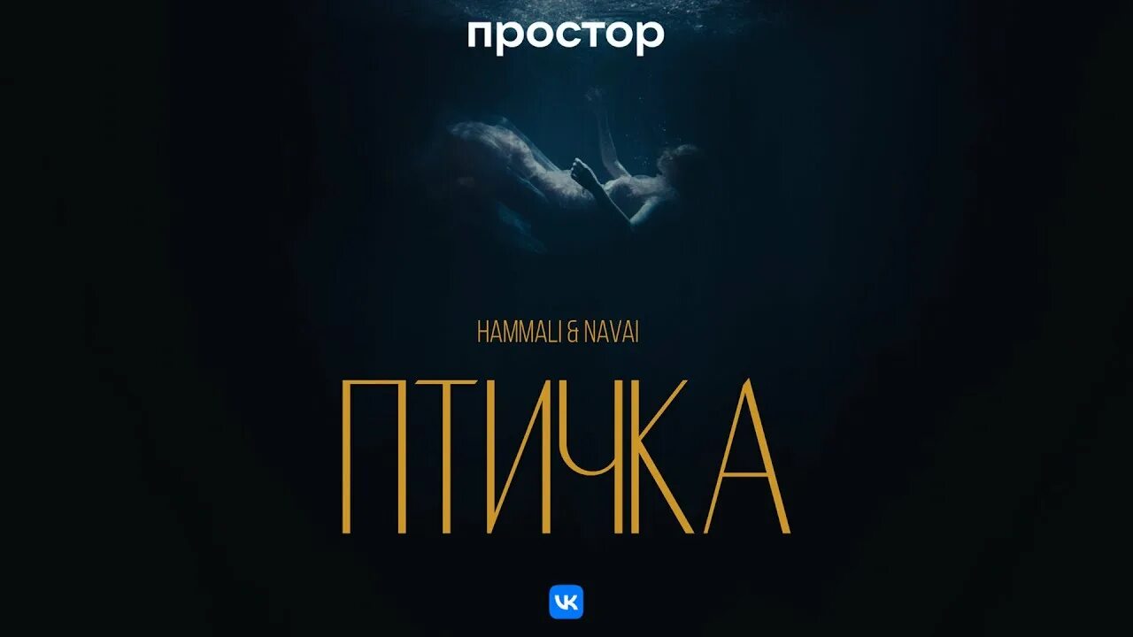 Хамали и навай птичка слушать. HAMMALI & Navai. Птичка HAMMALI&amp;Navai. Птичка HAMMALI Navai обложка. Птичка HAMMALI Navai клип.