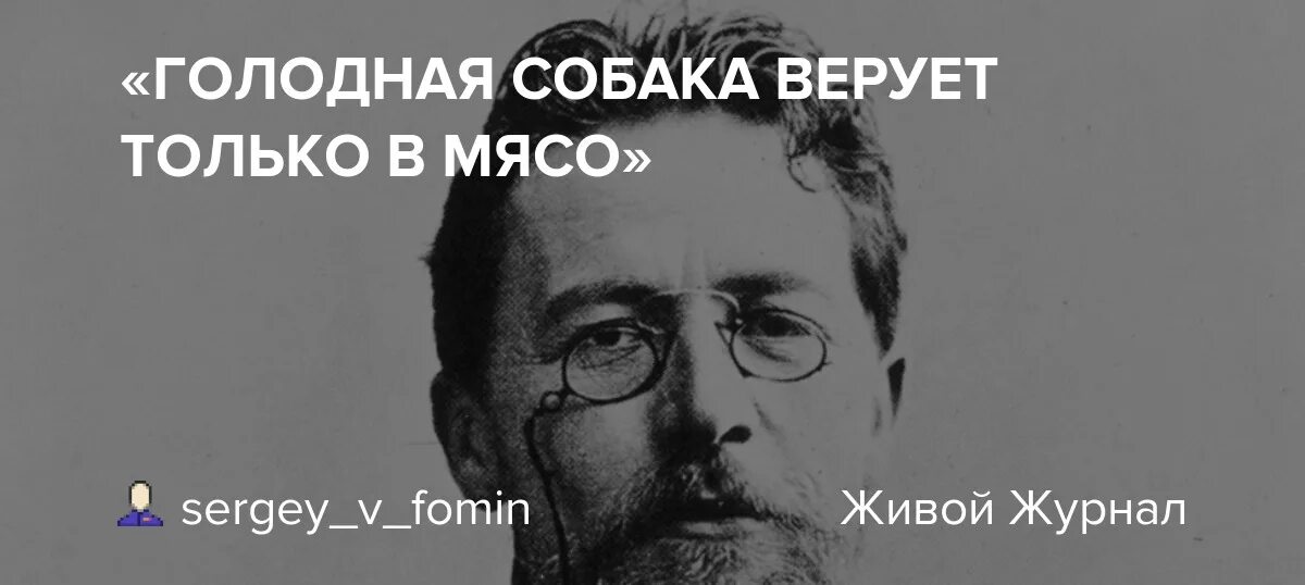 Голодная собака верует только. Голодная собака верует только в мясо кто. Голодная собака верует только в мясо кто сказал. Голодная собака верует только в мясо кто сказал вишневый сад. Как называется песня принесите мясо голодные собаки