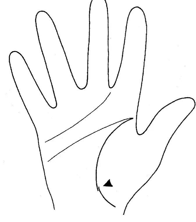 Хиромантия линия мезенцев. Хиромантия схема линий на руке. Линия от мизинца. Хиромантия холм аполлона знаки. Хиромантия холм аполлона знаки.