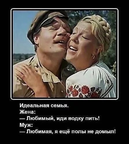 Вместо мужа россия. Идеальная шутка. Шутки про идеальную семью.