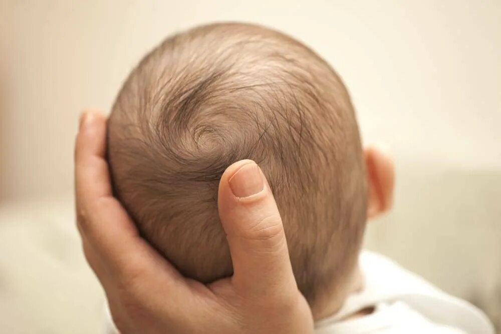 Мозг новорожденного норма. Родничок в голове у ребенка.