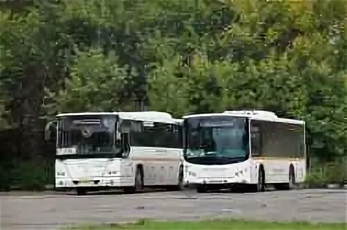 Расписание автобусов старая купавна ногинск. Москва старая купавна автобус. Карта москвы бронницы. Москва старая купавна автобус. Автобус 444 партизанская.