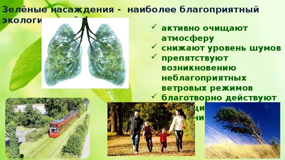 Значение экологии в жизни человека огромно так. Влияние экологии на растения. Зеленые насаждения для презентации. Роль зеленых насаждений в городской среде. Роль зеленых насаждений в жизни города.