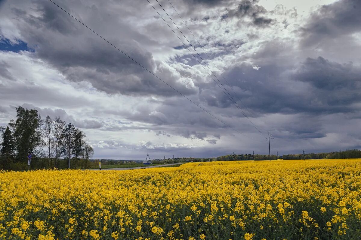 Погода рб