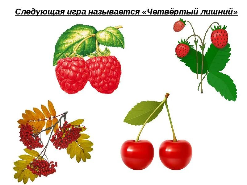 4 лишний ягоды. Четвертый лишний на тему ягоды. Помоги медвежонку собрать ягоды распечатать. Какая пара слов лишняя ягода ягодка медведь. Ягоды четвертый лишний для детей.