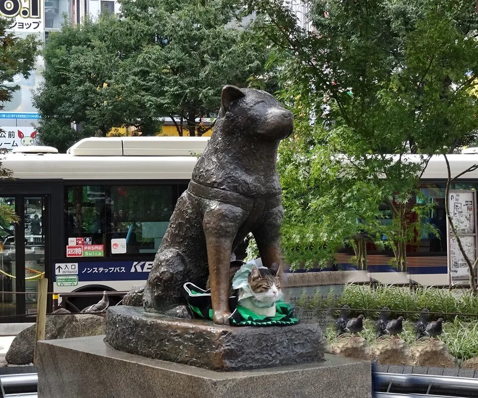 Хатико адрес. Сибуя Токио статуя Хатико. Памятник Хатико в Токио. Статуя Хатико у станции Сибуя. Памятник собаке Хатико в Японии.