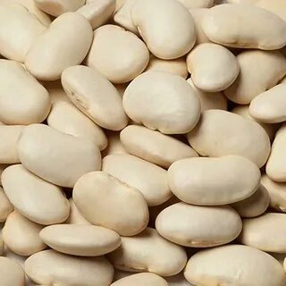 Bean 5 5