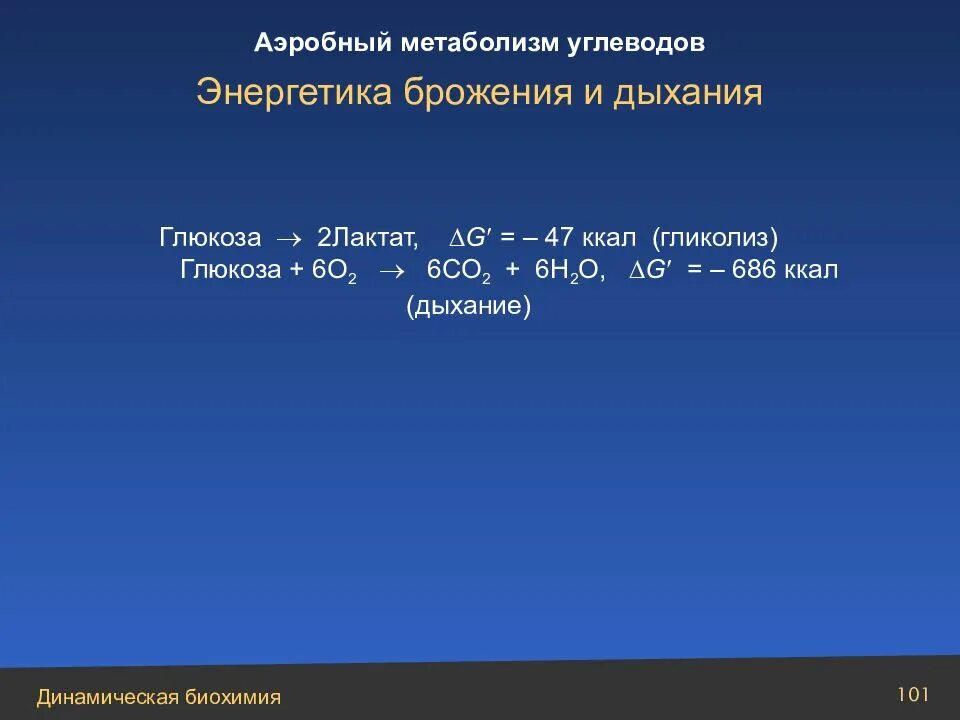 Дыхание гликолиз брожение. Гликолиз бескислородный этап. Анаэробное дыхание 2) аэробное дыхание. Гликолиз и спиртовое брожение. Связь дыхания и брожения.