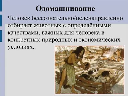 Одомашнивание это