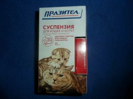 Таблетки от глистов для котят 2 месяца