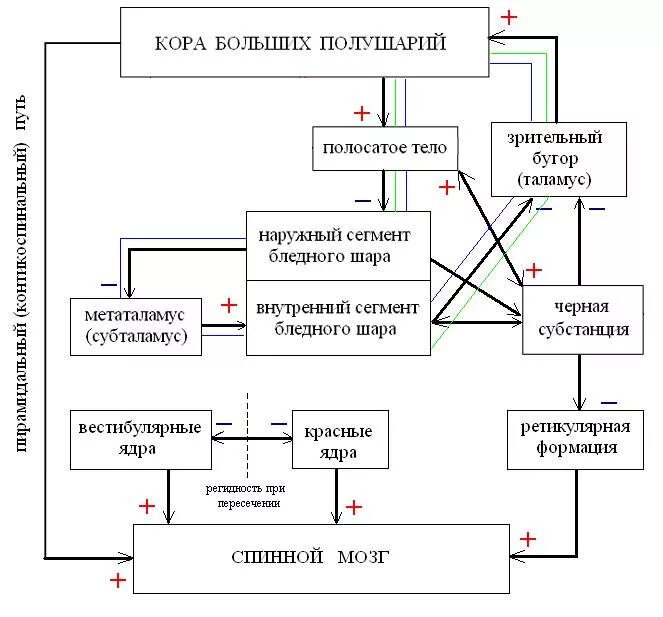 Прямой и непрямой путь. Прямой и непрямой путь