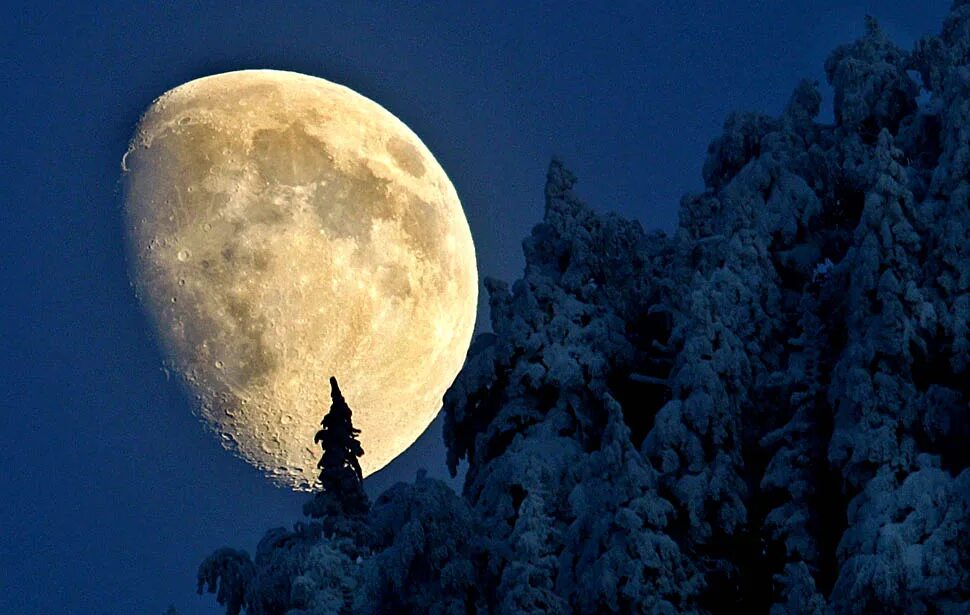 Луна. Огромная Луна. Полнолуние зима. Фото Луны.