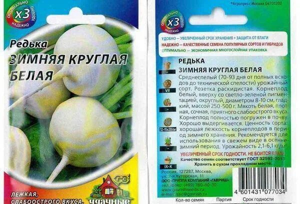 Когда сеять редьку черную. Редька белая для зимнего хранения семена. посев редьки. редька зимняя круглая белая удачные семена. когда садить редьку.